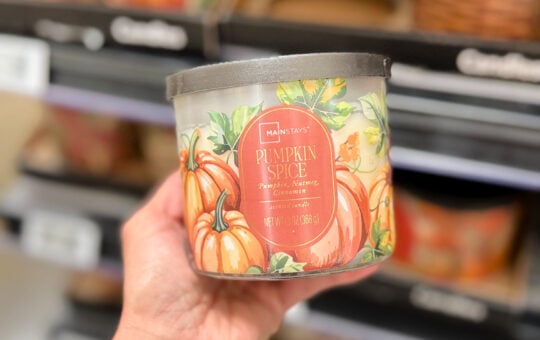 mainstays pumpkin spice
