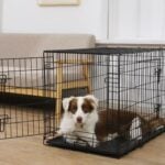 metal dog crate