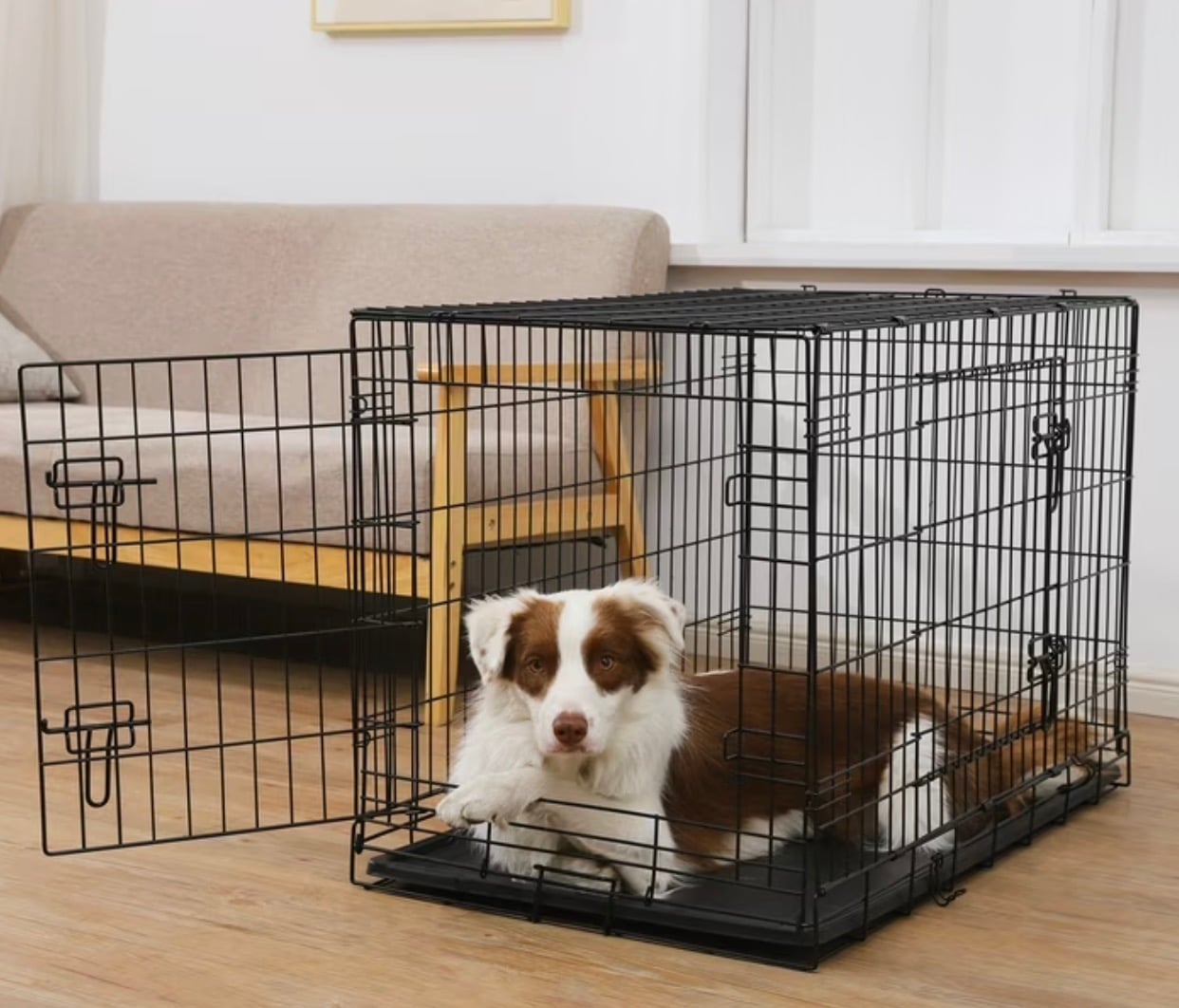 metal dog crate