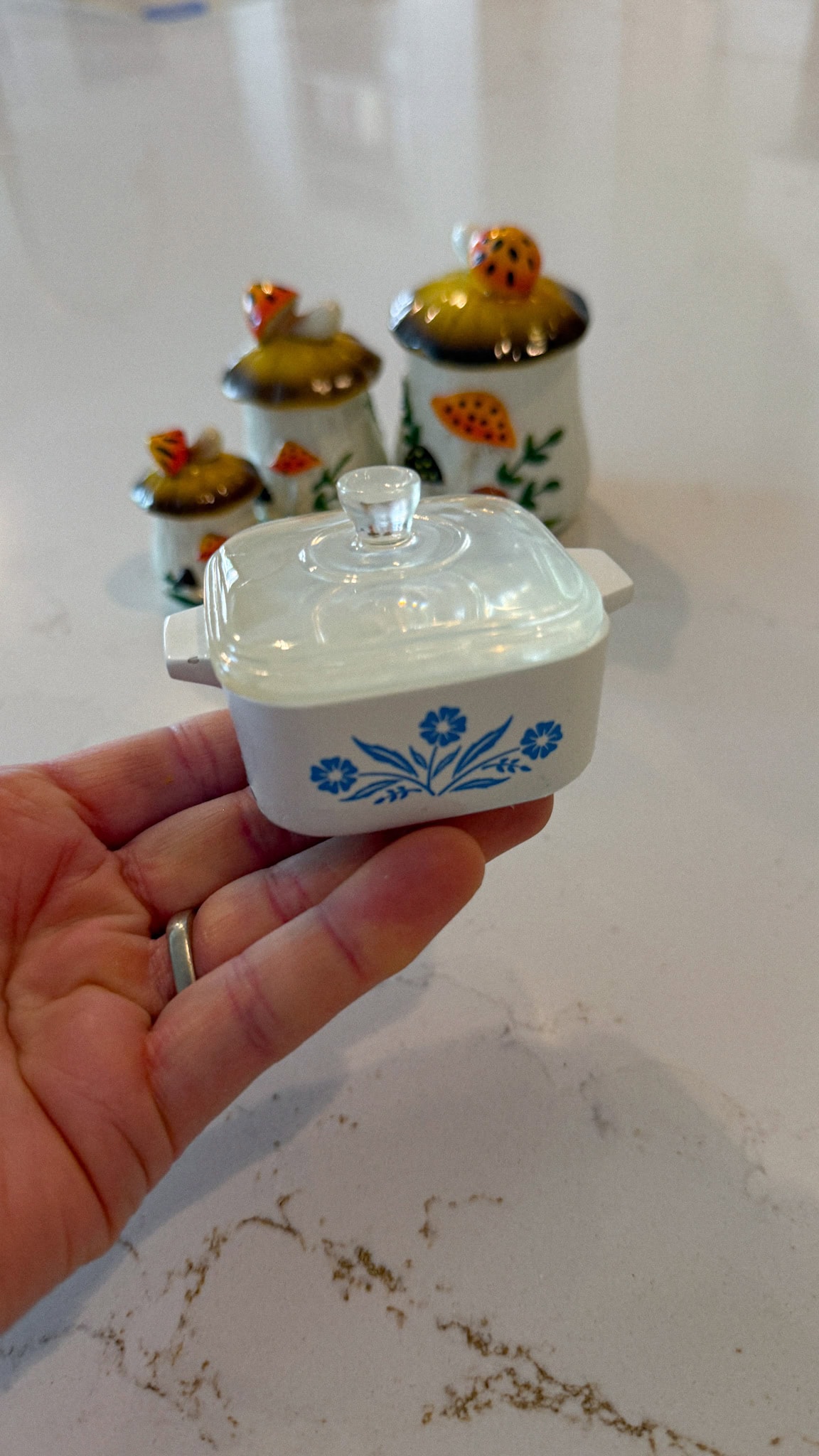 mushroom canister casserole dish 2