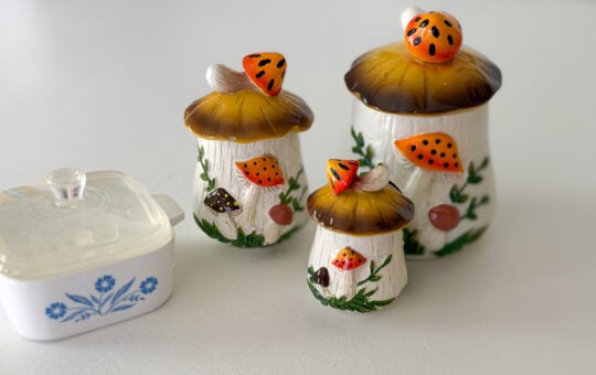 mushroom canister pyrex