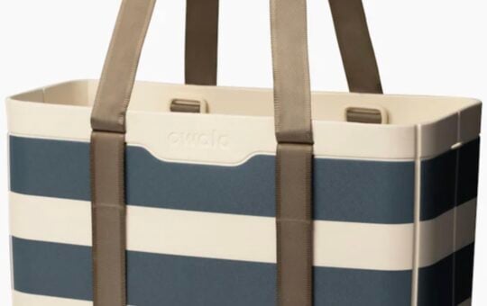 owala salt spray tote