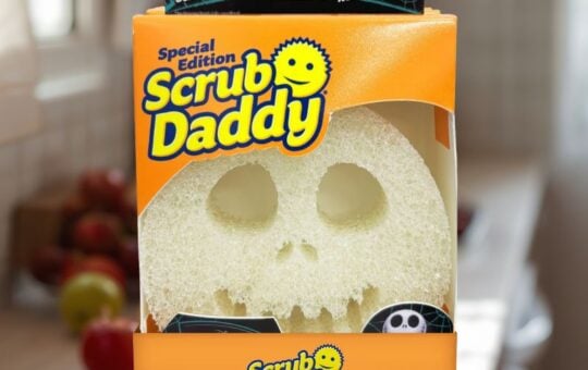 scrub daddy (2)