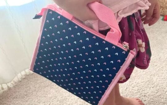 target lunch bag (1)