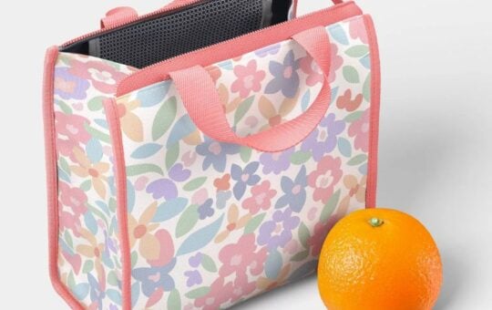 target lunch bag