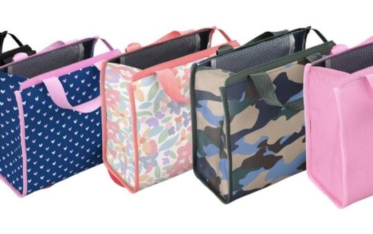target lunch bags (1)