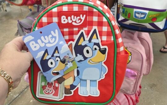 walmart mini backpacks (1)