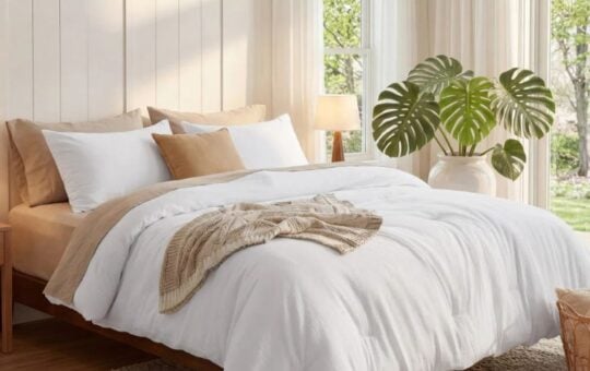 wayfair comforter (1)