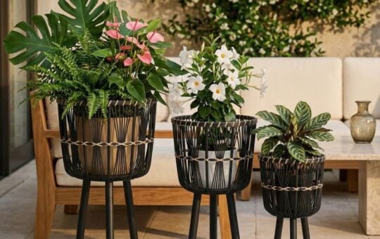wicker plant stands