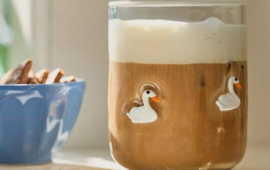 Anthropologie Swan Icon Juice Glass
