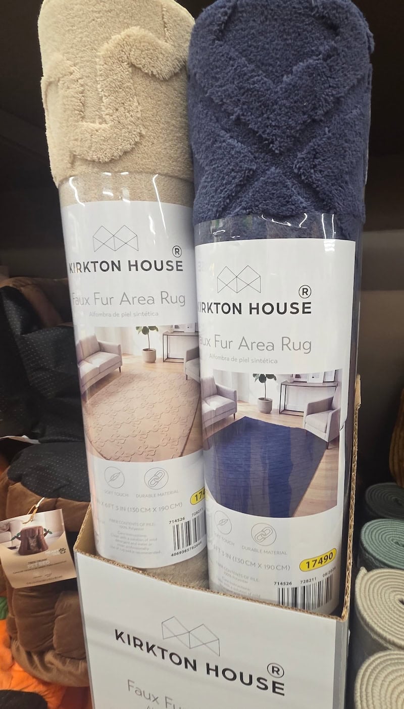 Area Rug 2