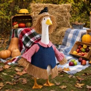 Bafeil Fall Porch Goose Outfit