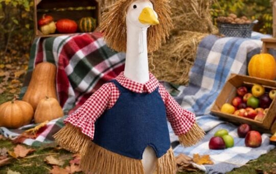 Bafeil Fall Porch Goose Outfit