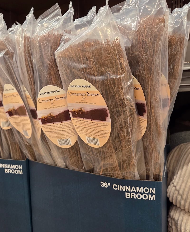 Big Cinnamon Broom 2