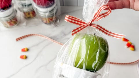 Caramel Apple Gift Idea