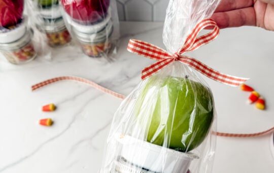 Caramel Apple Gift Idea 82