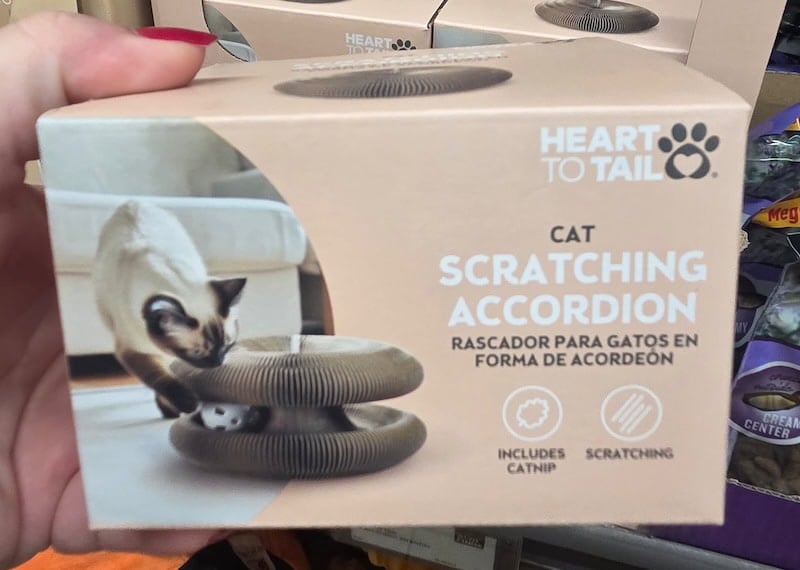 Cat Scratching Accordion 2