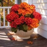 FULLMUSIC Artificial Geranium Flowers