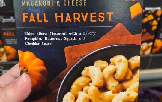 Fall Mac & Cheese 2