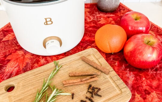 Fall Simmer Pot