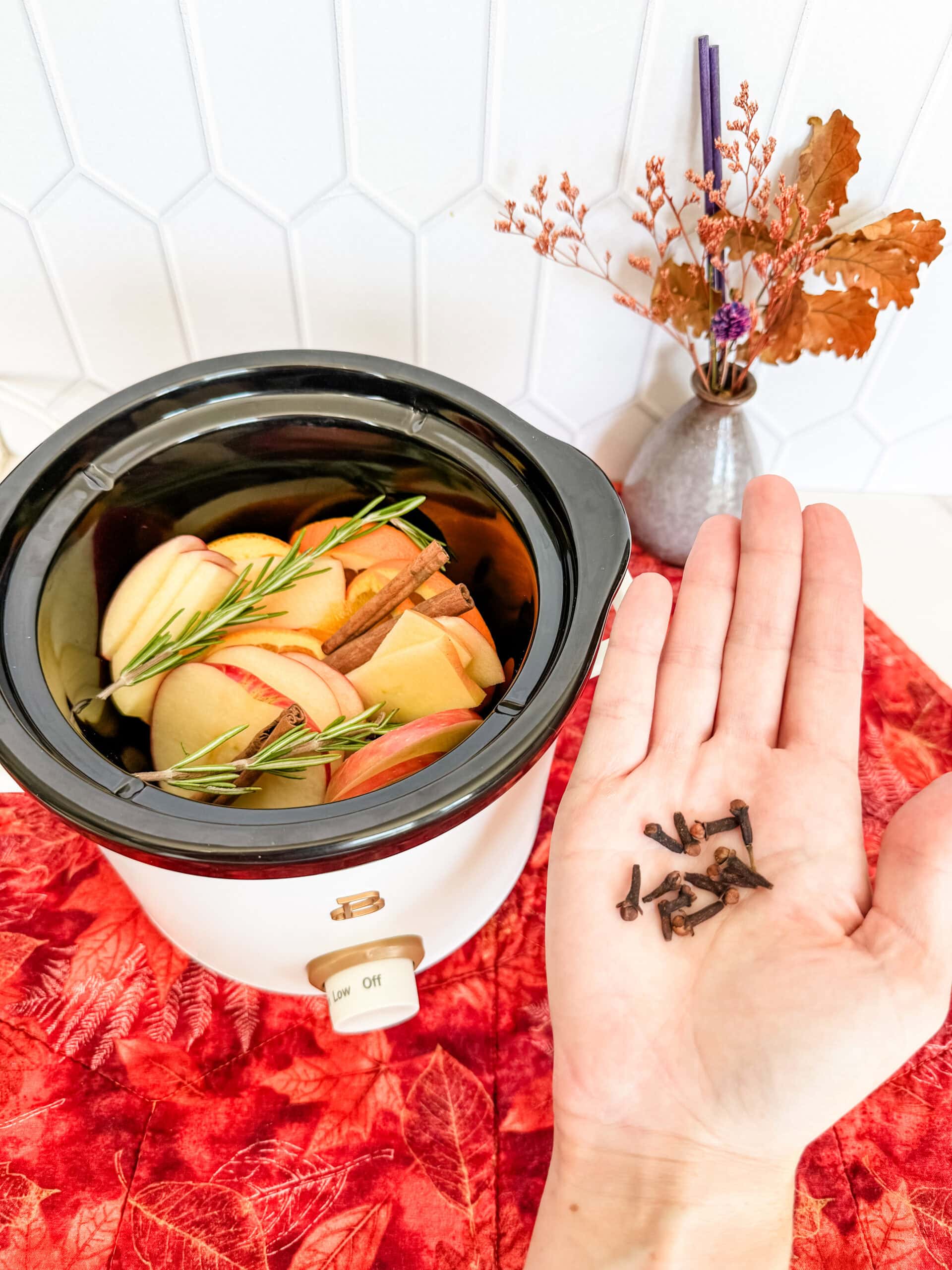 Fall Simmer Pot 75 Fall Simmer Pot 75