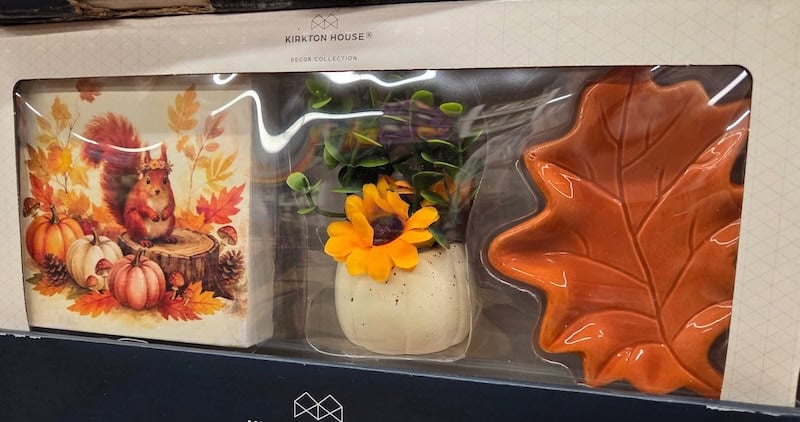Fall Tray Objects 2