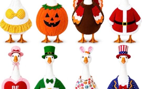 Funle Porch Goose Outfits