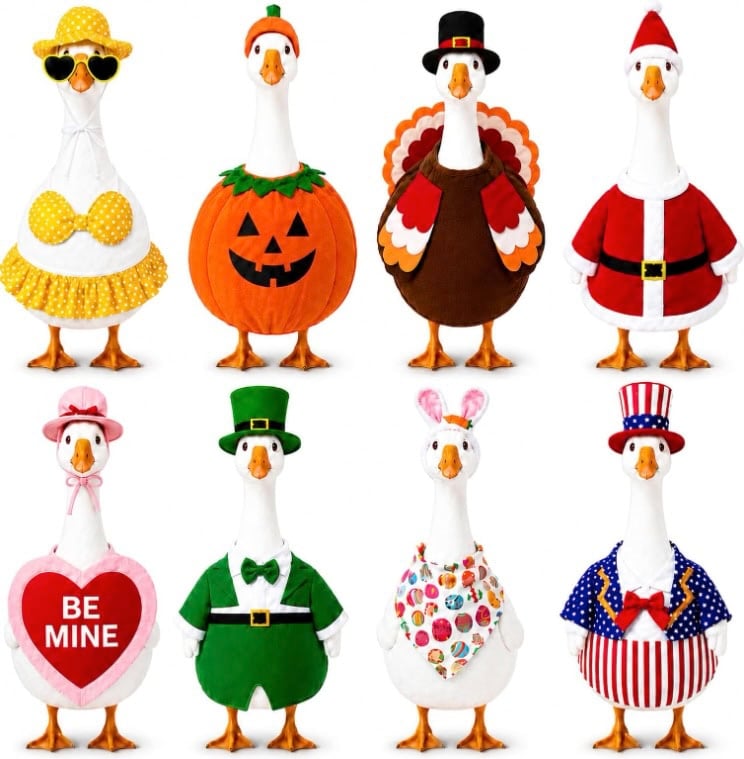 Funle Porch Goose Outfits