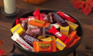 Hershey's Chcolate Variety Candy