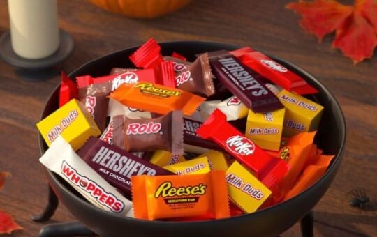Hershey's Chcolate Variety Candy