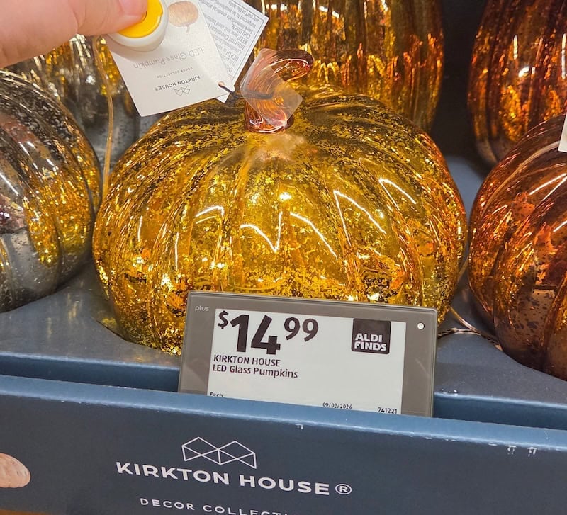 LED Pumpkins 2