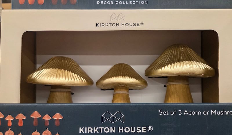Mushroom 2