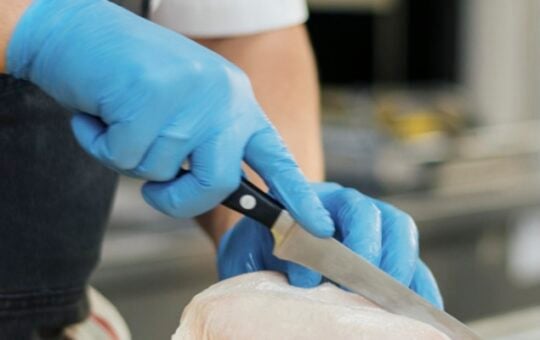 SWIFTLITE Food Safe Disposable Gloves Kitchen