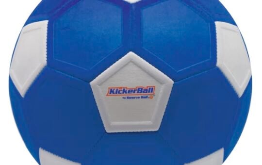 Zuru Bend It Ball