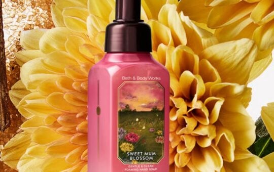 bath body works hand soap (1)
