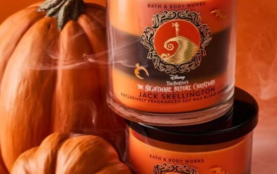 bath body works single wick candle (1)