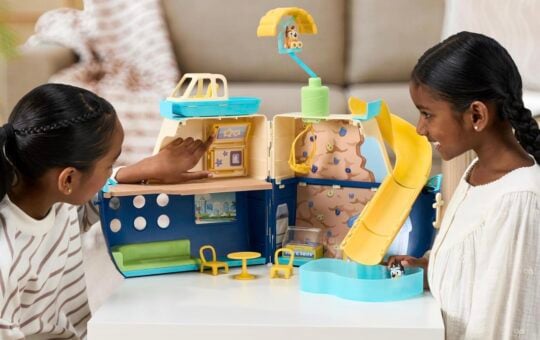 bluey cruise ship with slide