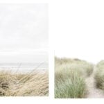 coastal art dupe