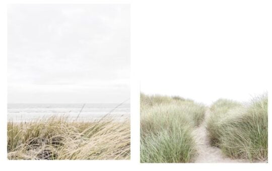 coastal art dupe