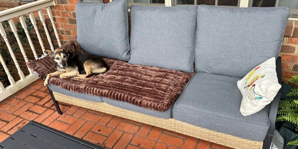 couch cover for dogs