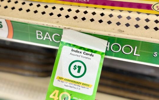 dollar tree school