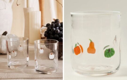fall icon glasses dupe