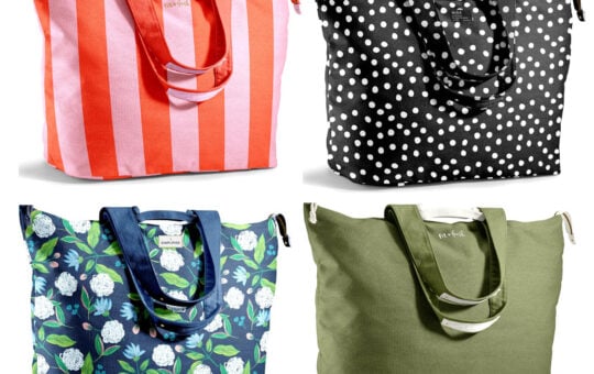 fit fresh totes