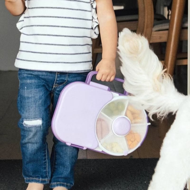 gobe kids bento box 