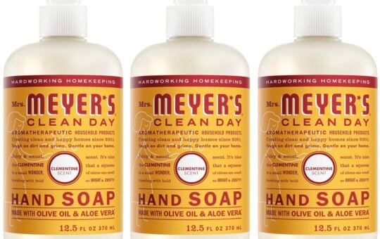 mrs meyers clementine hand soap