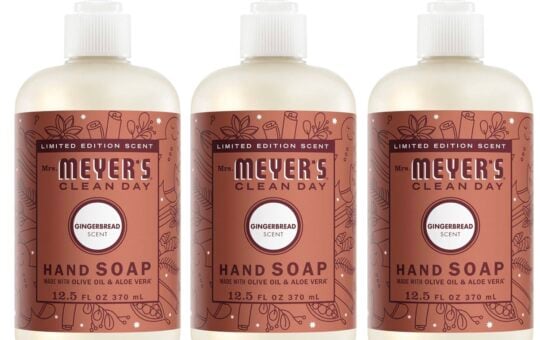 mrs meyer's gingerbread soap 3 ct