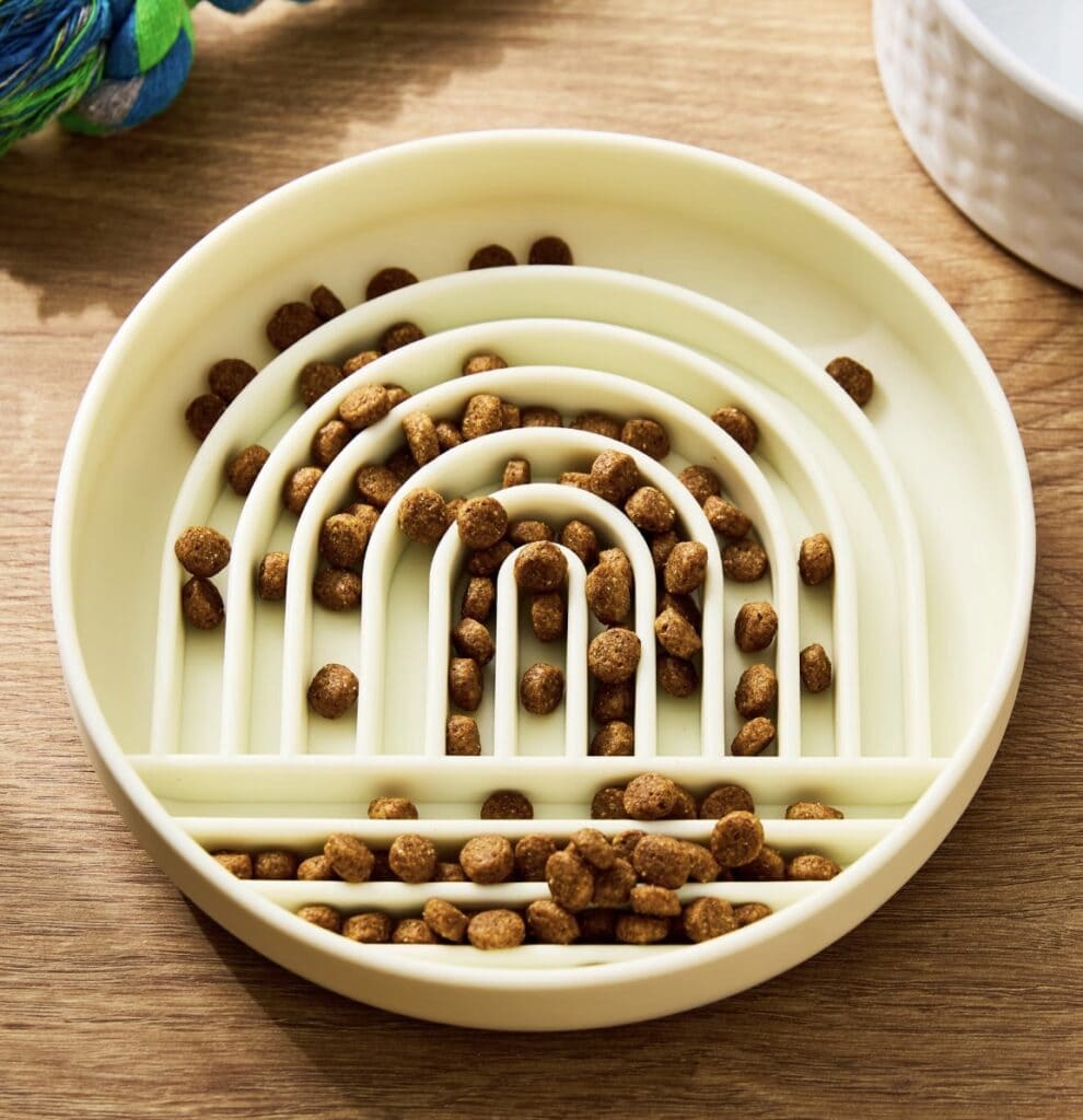 slow dog bowl feeder rainbow beige