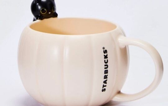 starbucks black cat mug