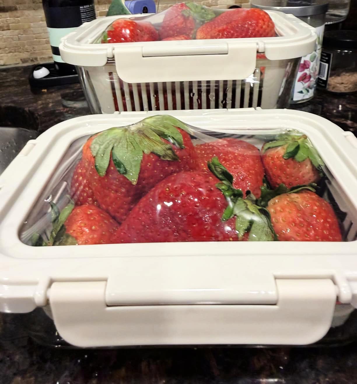 strawberry containers strawberry containers