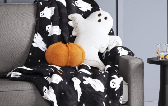 target halloween pillows (4)